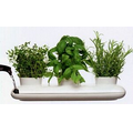 Herb Pot Trio - 2 piece